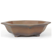poterie bonsai - octogonale - l30 x h8 cm